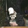 大圣|链上美股投研版 profil fotoğrafı