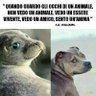 Patricia profil fotoğrafı