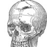 Phineas Gage 的头像