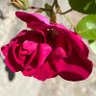 Фото профиля Emma
