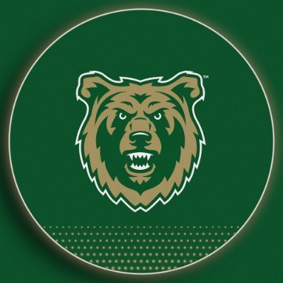 Rocky Mountain College Battlin' Bears's profile picture