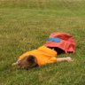 Joe Schmo's profile picture
