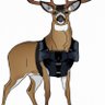 Profilbild von A Deer In A Kevlar Vest ☦️ ❌