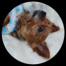 やっさん's profile picture