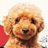 Banbi chan profil fotoÄrafı