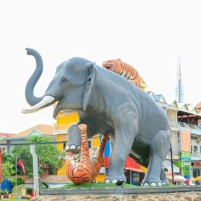 PitoRontas's profile picture