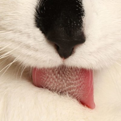 搶妳軟糖🤍中部可愛情侶's profile picture