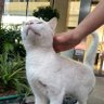 邮差马龙 的头像