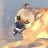 เนเธฃเธญเธฐ's profile picture