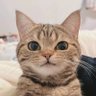 Фото профиля Imagoodmanz