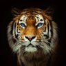 biologyمنوعات's profile picture