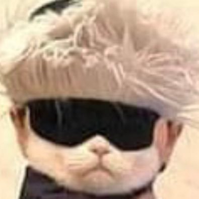 ซันล้อป's profile picture
