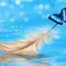 عائشة بعنون profil fotoğrafı