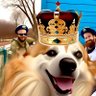 Ben Itchi Myfanwy's profile picture
