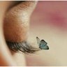 HeLeN 2 profil fotoğrafı