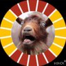 A pastar progres profil fotoğrafı