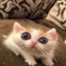 Profilbild von Brian