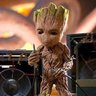 groot 的头像