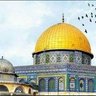 عادل محمود profil fotoğrafı