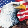 Scott's profile picture