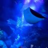 Фото профиля 春奈は毎日眠い