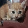 คุณฟูจิ profil fotoğrafı