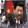 Фото профиля 人民领袖二百斤