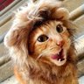 Icambokum's profile picture