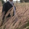 Adary profil fotoğrafı