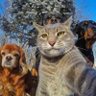 Alain Mattard profil fotoğrafı