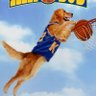 Air Bud profil fotoğrafı