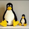 Schwinguin profil fotoğrafı