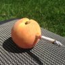 Profilbild von peach