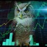 BORSA BAYKUŞU profil fotoğrafı