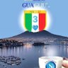 giuliano d'alterio's profile picture