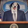 Profilbild von President Oz