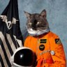 Sheldon OutHouse's profile picture
