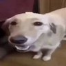monket (compy)'s profile picture