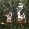 Фото профиля Magdi