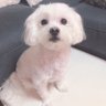 ぽんた🍃💤's profile picture