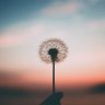gzm⭐️ profil fotoğrafı