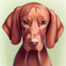 XvT's profile picture