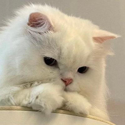 New9wall8's profile picture