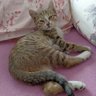 Фото профиля Mihriban