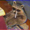 Buca's profile picture