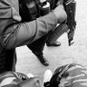 Odogwu_General's profile picture