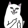 この泥棒猫's profile picture