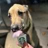 _K40S_PUP's profile picture