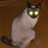 洸 profil fotoğrafı