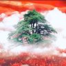 @jobakhoss 🇱🇧🇱🇧🇱🇧🇱🇧 profil fotoğrafı